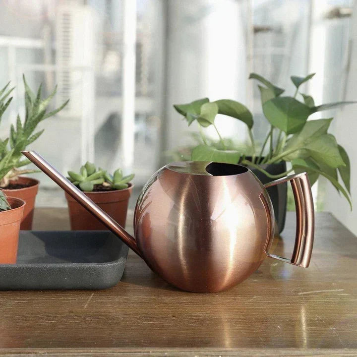 PlantFlow – Slim sfärisk vattenkanna perfekt för känsliga växter