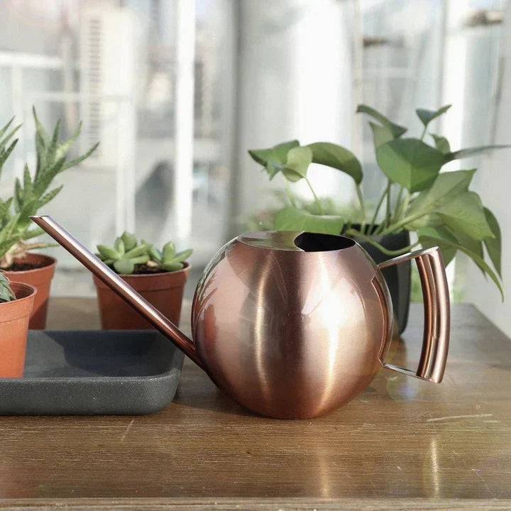 PlantFlow – Slim sfärisk vattenkanna perfekt för känsliga växter
