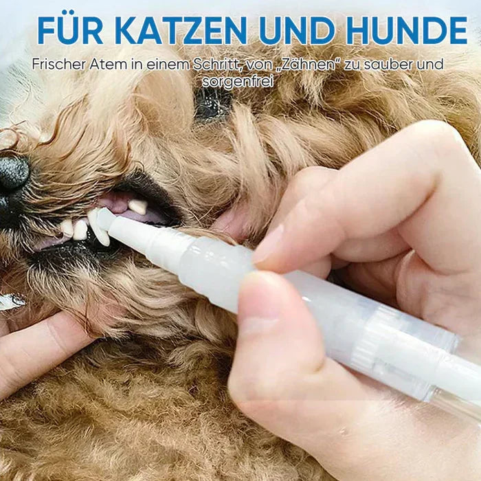 Carvallo | PawBright – Rena tänder, lyckligt djur!