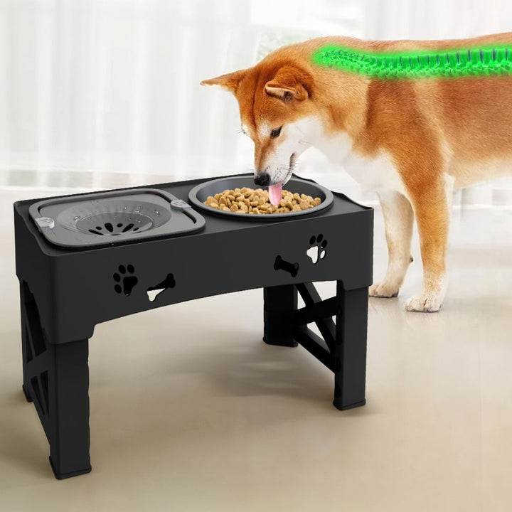 Hundskål Upphöjd Justerbar Långsam Matställning