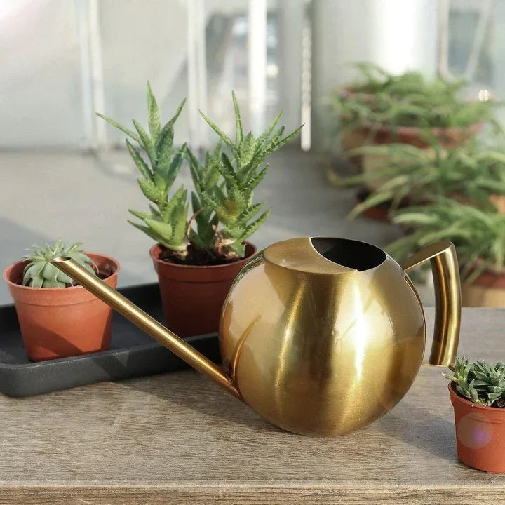 PlantFlow – Slim sfärisk vattenkanna perfekt för känsliga växter
