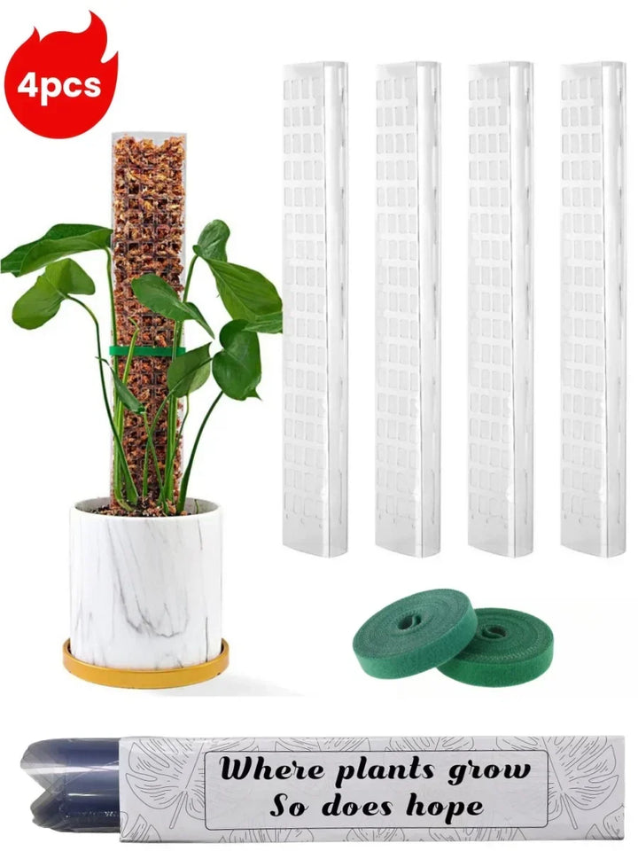Carvallo Moosstab-Set | Transparent växtstöd i PVC | Främjar vertikal tillväxt av klätterväxter | Återanvändbar | 30cm / 60cm längd