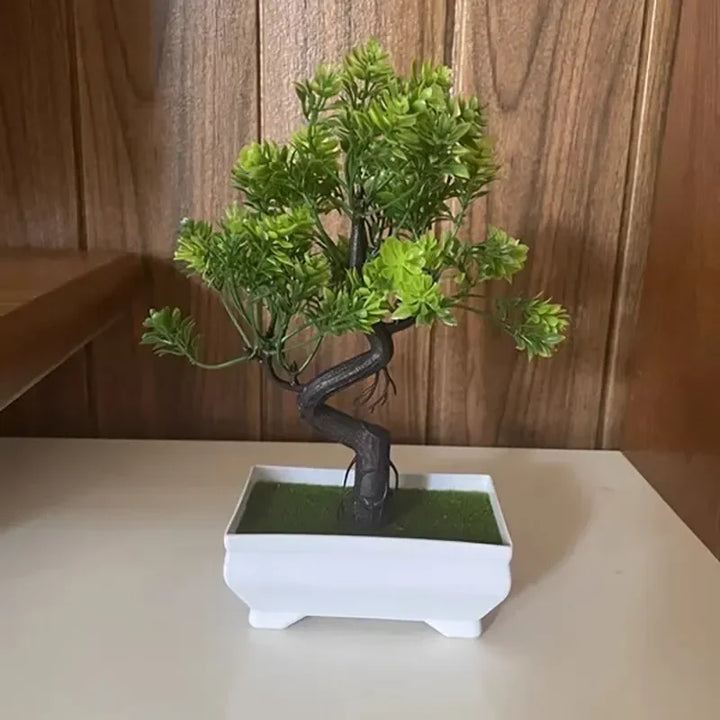 Carvallo Floraviva | Realistiskt utseende | Underhållsfri &amp; Mångsidigt placerbar | 25 cm höjd