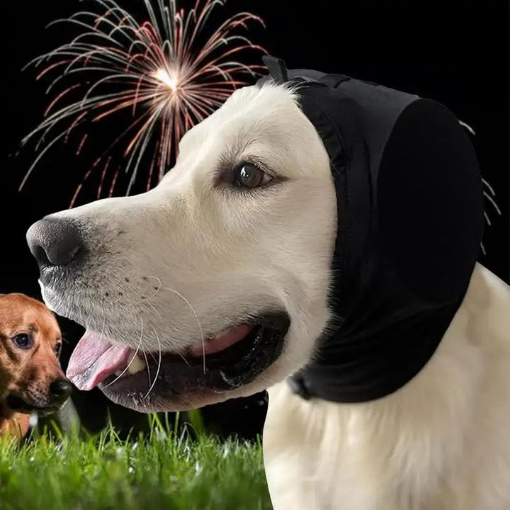 Hundöra hörselkåpor för ljudreduktion och komfort