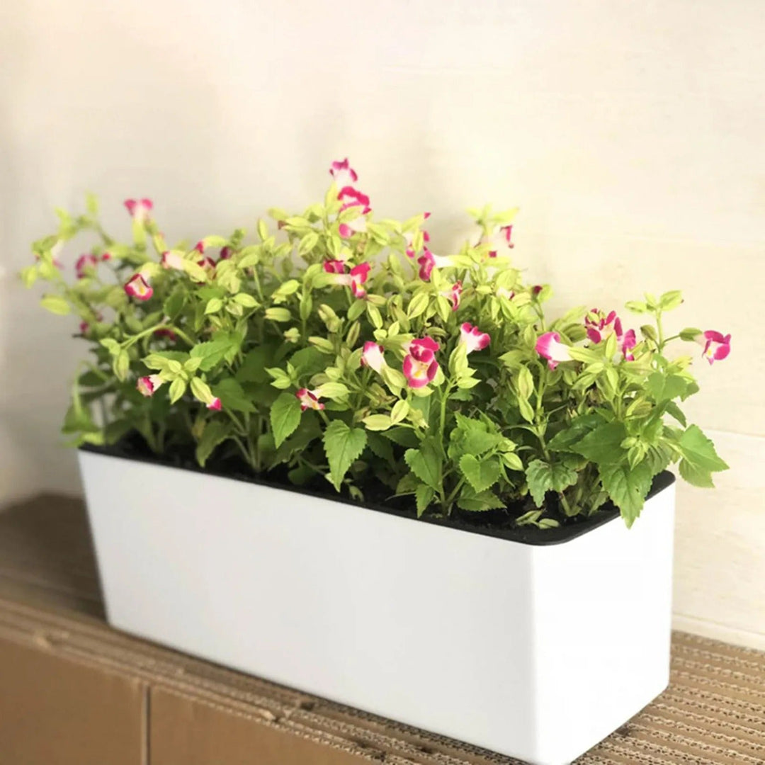 PureVase Kruka – Självvattnande blomkruka med vattennivåindikator