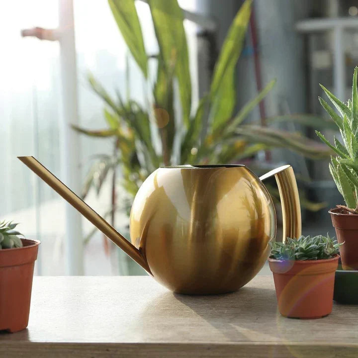 PlantFlow – Slim sfärisk vattenkanna perfekt för känsliga växter
