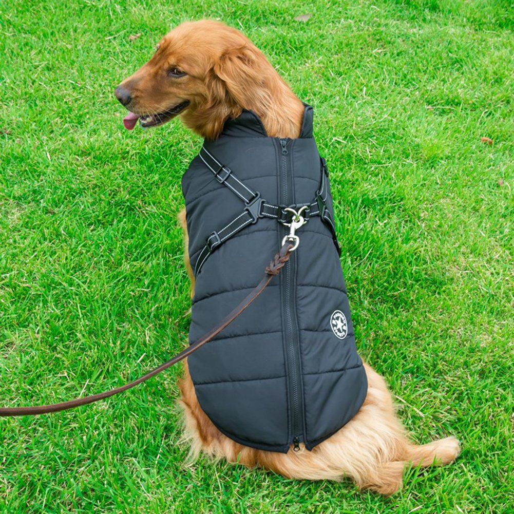 WoofGuard™ - Vattentät vinterjacka med integrerad sele