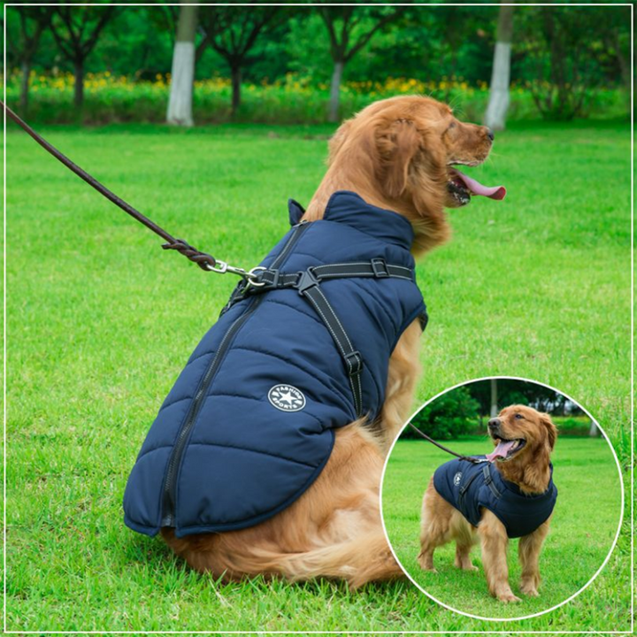 WoofGuard™ - Vattentät vinterjacka med integrerad sele