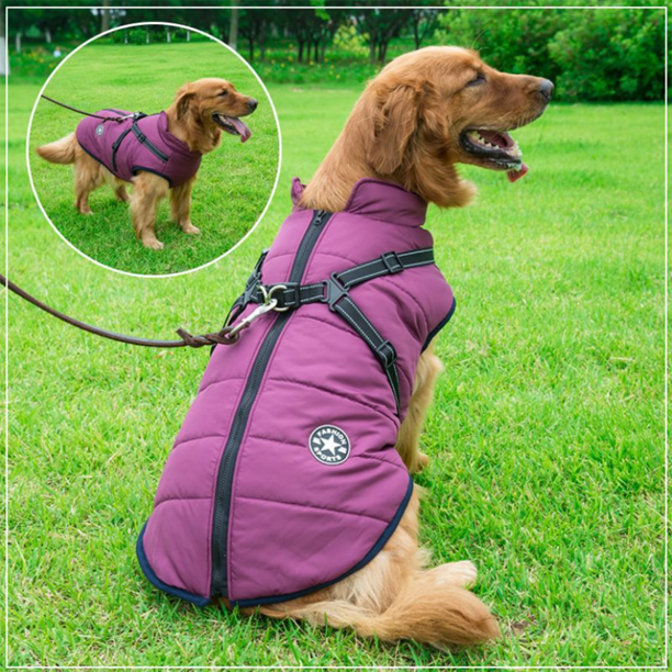 WoofGuard™ - Vattentät vinterjacka med integrerad sele