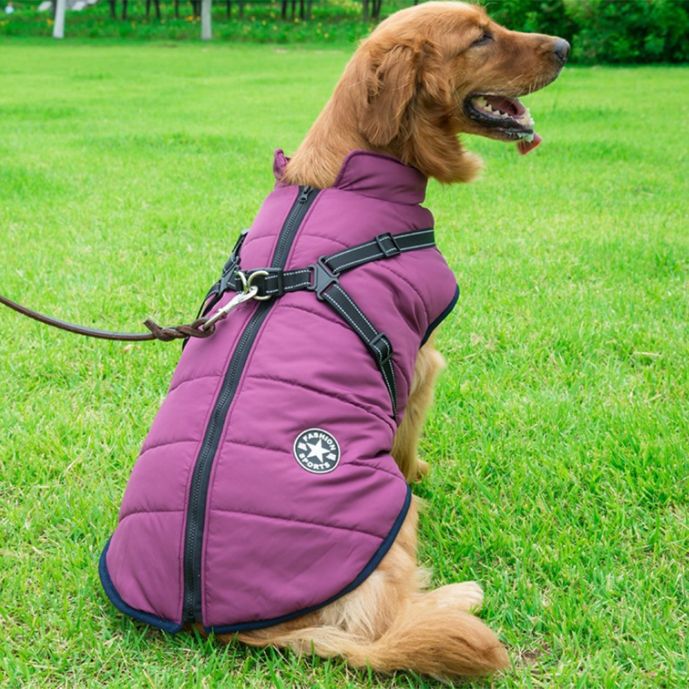 WoofGuard™ - Vattentät vinterjacka med integrerad sele