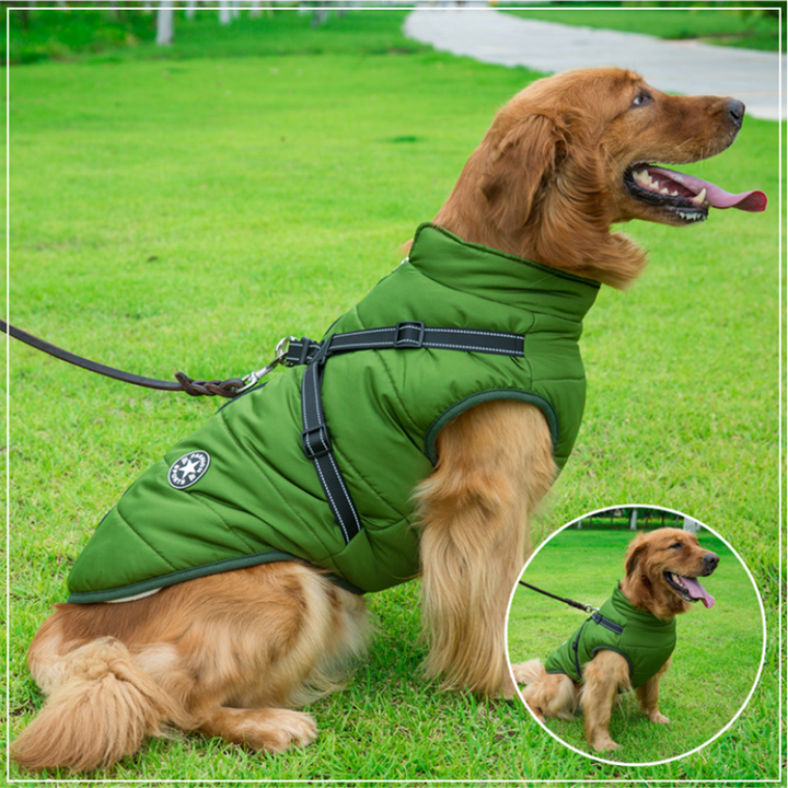 WoofGuard™ - Vattentät vinterjacka med integrerad sele