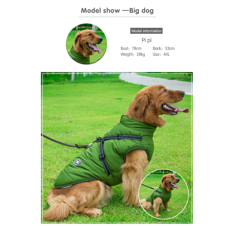 WoofGuard™ - Vattentät vinterjacka med integrerad sele